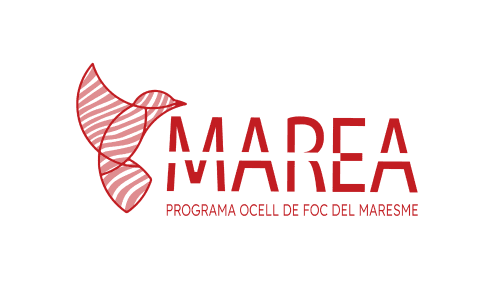 Marea